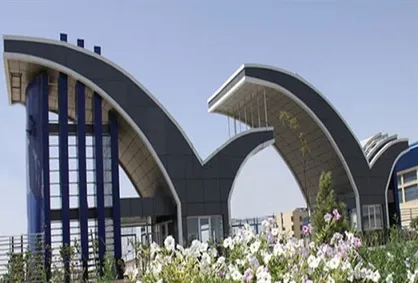 دانشجوی علوم پزشکی زاهدان در المپیاد ورزش&zwnj;های همگانی موفق به کسب مقام سوم شد