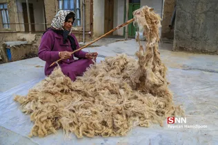 روستای روئین