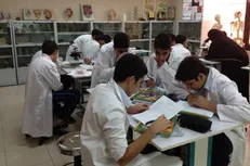 «مسابقه بین المللی دانش آموزی دانش مغز» برگزار می‌شود