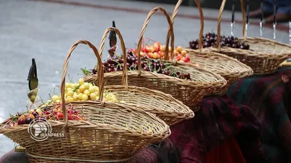جشنواره اشنویه؛ گردشگری در پایتخت گیلاس ایران