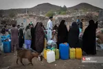 طلای سیاه در مناطق محروم 