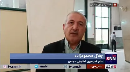 محمودزاده: مقداری از محموله گندم آلوده وارد چرخه مصرف شد / وزارت بهداشت قضیه را پیگیری نکرد