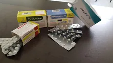 هم‌سرمایه‌گذاری صندوق نوآوری به بار نشست / رونمایی از داروی ترک اعتیاد و ضددرد‌های سرطانی