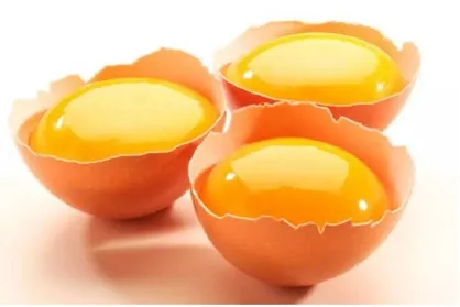 فواید تخم&zwnj;مرغ برای پوست و مو