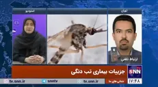 ۱۴۰ مورد مثبت تب دانگ گزارش شده است/همپوشانی گسترش جهانی با افزایش پشه آئدس+فیلم