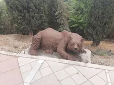جانمایی مجسمه حیوانات در حال انقراض در خیابان لبخند