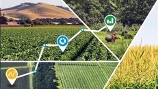 حوزه کشاورزی و صنایع غذایی با ورود نوآوری و فناوری توسعه یافت