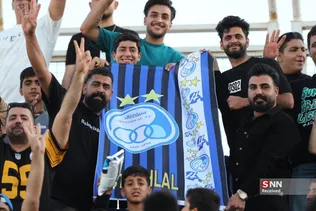 دبب