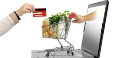 فعالیت ۲۰۰۰ کسب و کار اینترنتی در کشور