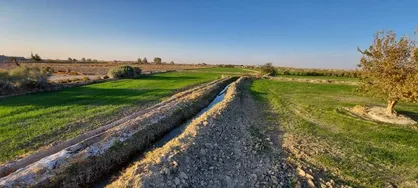 سیستان و بلوچستان، قربانی سیاست&zwnj;های آبی افغانستان / طرح آبیاری دشت سیستان به کجا رسید؟