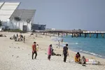 صثفصل