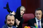 سیلذ
