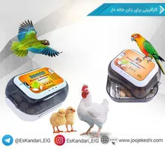 راه ساده برای کارآفرینی زنان خانه دار