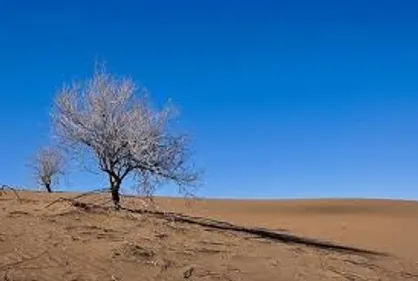 ۹ گردشگر گرفتار در کویر بشرویه نجات یافتند