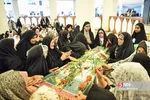 بیبب