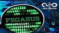 هیچ کس از پگاسوس در امان نیست