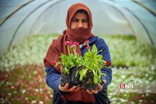 صدای پای بهار