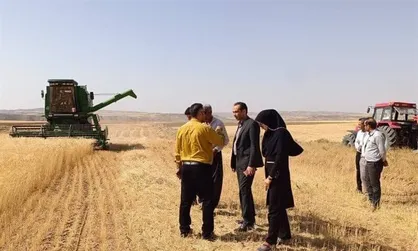خرید تضمینی گندم در زنجان با نرخ ۴۹ هزار و ۵۰۰ تومان آغاز می&zwnj;شود
