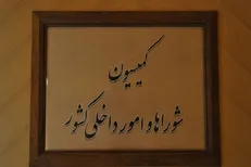 تقدیر اعضای کمیسیون شوراها از عملکرد وزارت کشور و تأکید بر تقویت مرزها