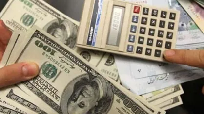 دلایل دولت برای ارائه ارز ۴۲۰۰ تومانی کاملا سیاسی است