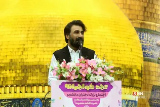 دبب