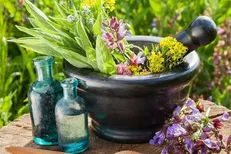 تجاری سازی گیاهان دارویی و خشکبار ضروری است