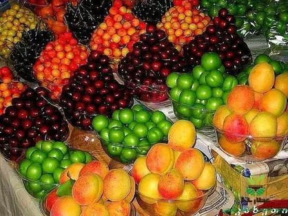 باغداران گوجه سبز، گیلاس و آلبالوی خود را به صورت مستقیم در میادین پایتخت عرضه کنند