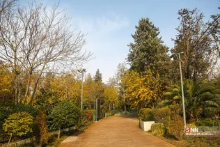 ertert