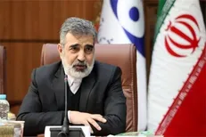 کمالوندی: به کشور‌های منطقه درباره تبعات تداوم حمله به تاسیسات هسته‌ای ایران هشدار داده‌ایم/ ارسال ۱۲ نامه ایران به آژانس بین‌المللی انرژی اتمی