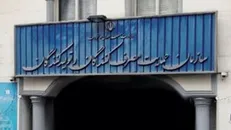 هشدار سازمان حمایت به نمایندگی‌های فروش خودرو/ قیمت سازی نکنید