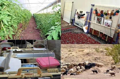 ۱۹۵ هزار کسب&zwnj;وکار روستایی با تسهیلات اشتغال جان گرفت
