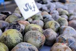 طرح ظفر ۱۳