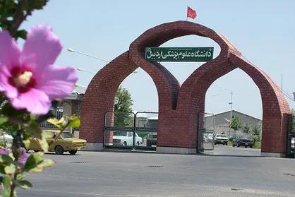 کوتاهی دانشگاه علوم پزشکی اردبیل برای دریافت تسهیلات احداث خوابگاه / صندوق رفاه پولش را پس می&zwnj;گیرد؟