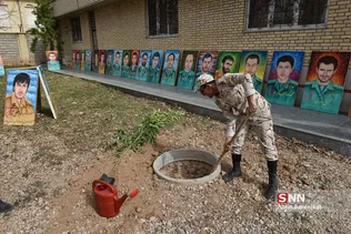 سشب
