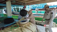 انهدام باند بزرگ قاچاق سوخت در بندرعباس / ۱۰ قاچاقچی دستگیر شدند