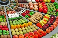 صادرات محصولات کشاورزی به ۷ میلیارد و ۵۶۶ میلیون دلار رسید