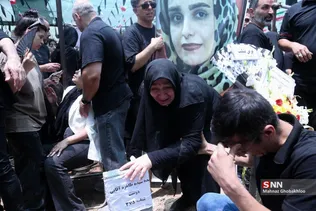دبب