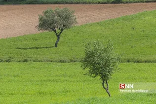 جلوه های زیبای طبیعت