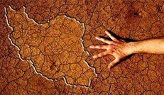 لزوم ارتقای سطح دانش و فناوری بومی برای بهره برداری از منابع آبی/ امکان رشد برخی درختان با آب دریا وجود دارد