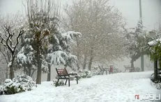 بارش برف و باران در ۱۴ استان کشور