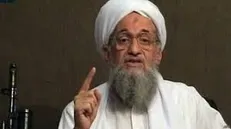 تایید مرگ سرکرده القاعده از سوی منابع امنیتی پاکستان