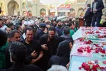 دبب