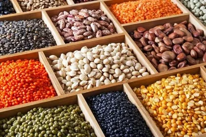 حبوبات در میادین تره&zwnj;بار تهران ارزان تر است