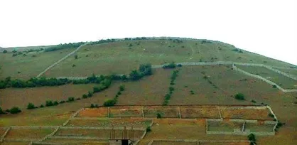امتیاز بی&zwnj;مثال نمایندگان مجلس به زمین&zwnj;خواران!