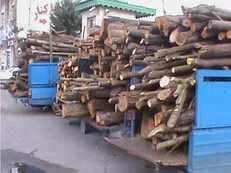 کشف بیش از ۹ تن چوب جنگلی قاچاق در آزادراه قزوین-زنجان