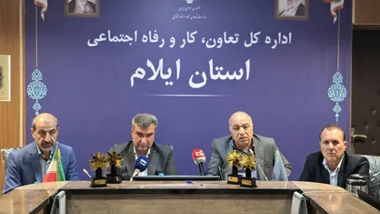 ۶۵ درصد تعاونی&zwnj;های استان ایلام فعال هستند