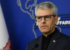 بقائی: سیاست‌های غیرمسئولانه، عامل شکست آلمان در عضویت شورای امنیت بود