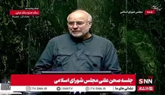 تشویق امیرحسین زارع در صحن علنی مجلس /قالیباف: کشتی گیران و مربیان برای افتخار آفرینی هیچ چیزی کم نگذاشتند