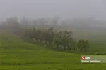 مه 
