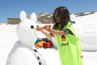 دبب